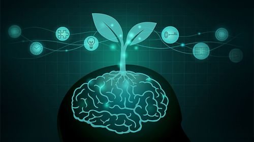 The Neuroscience of a Growth Mindset - thereaderstreet