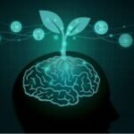 The Neuroscience of a Growth Mindset - thereaderstreet