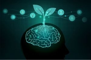The Neuroscience of a Growth Mindset - thereaderstreet